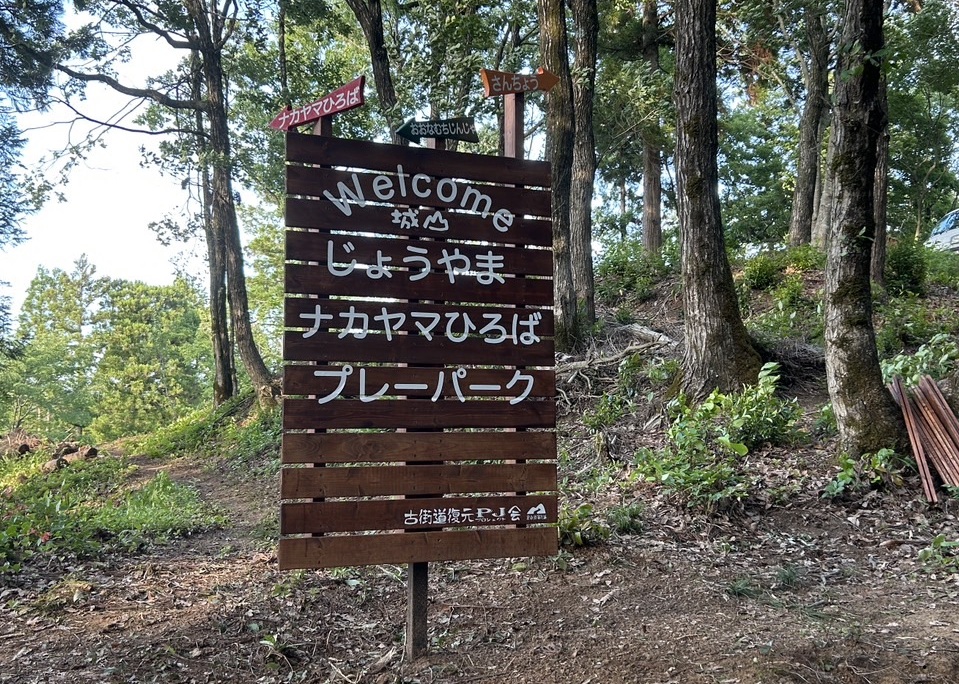 写真1